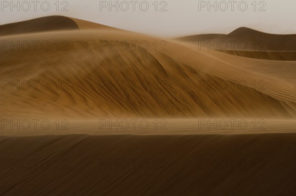 Wind blows the desert of Oman near A'Sharqiyah Sands