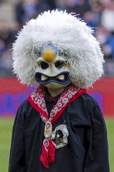 Carnival reveler with a large nose, Basel, Switzerland