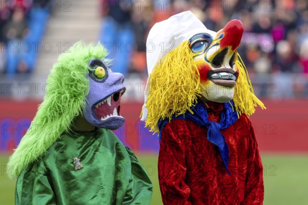 Carnival reveler with a large red nose, Basel, Switzerland
