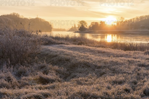 Wintery morning mood, Elbe meadows with hoarfrost, sunrise over the Elbe, Coswig, Saxony, Germany