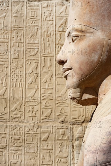 2000 year old Portrait Statue of Ancient Egyptian Pharaoh Queen Hatshepsut, against Hieroglyphic detail, Karnak Temple, Luxor, River Nile, Egypt