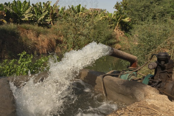 Water being pumped out of the River Nile into irrigation canals to feed water intensive crops of bananas growing in plantations in Upper Egypt