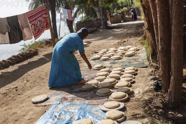 Luxor, Egypt. 13th December 2020 An Egyptian woman preparing dough to make bread in a Nile side village in Upper Egypt
