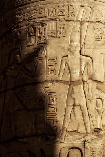 Ancient Egyptian Pharaoh Carved in Stone at Luxor Temple, Historical City of Thebes. Gods and Kings of Egyptology. Egypt