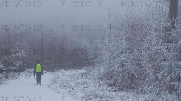 Individual hiker on a snowy forest trail in a foggy winter landscape, hiking on the Rennsteig in winter, Thuringian Forest nature park Park