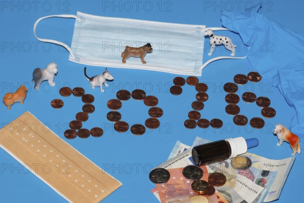 Various miniature dogs with medical devices and euro coins on a blue background, North Rhine-Westphalia, Germany