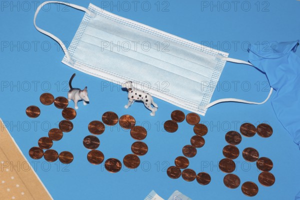 Miniature dogs with medical devices and euro coins on a blue background, North Rhine-Westphalia, Germany