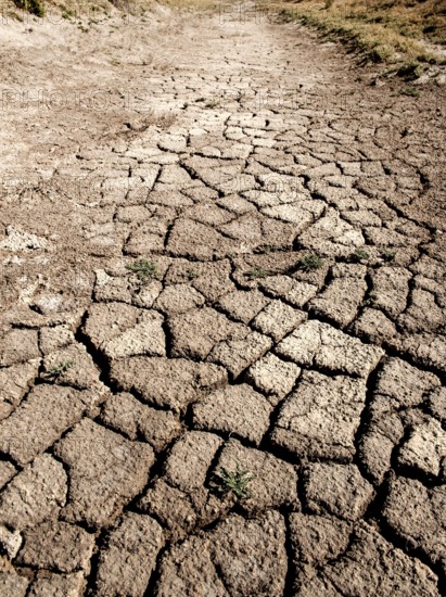 Dry cracked earth of a river bed in the desert during a drought, Basra, Iraq, Middle East