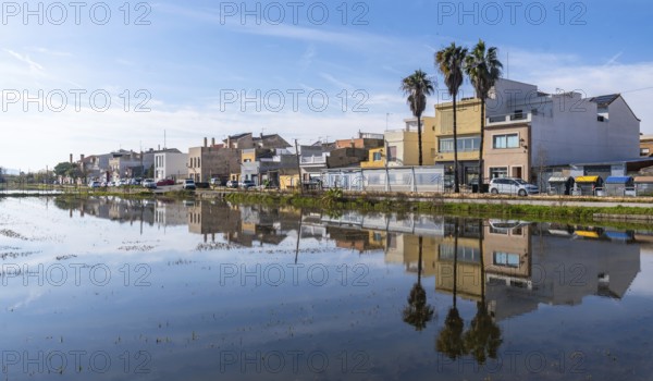 El palmar fishing village and palm trees mirrored in calm flooded rice paddies of albufera natural park, valencia tranquil rural mediterranean landscape under blue sky