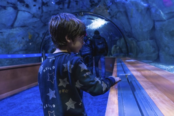 Little boy standing inside an underwater tunnel aquarium, fascinated by marine life while looking at fish swimming past the glass display, experiencing childhood discovery