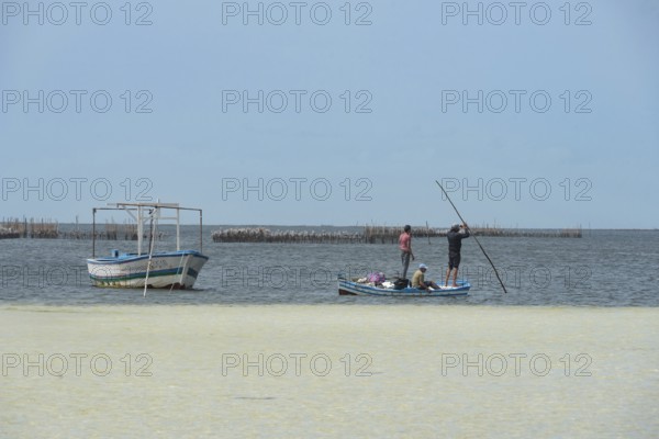 Kerkennah Islands Tunisia. June 4th 2024 Local Kerkennah fishermen who use unique techniques to fish the in the Gulf of Gabes in the Mediterranean Sea, Tunisia, North Africa