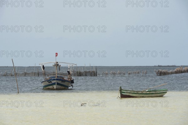 Kerkennah Islands Tunisia. June 4th 2024 Traditional local fishing boats moored in the Kerkennah Archipeligo in the Gulf of Gabes in the Mediterranean Sea, Tunisia, North Africa