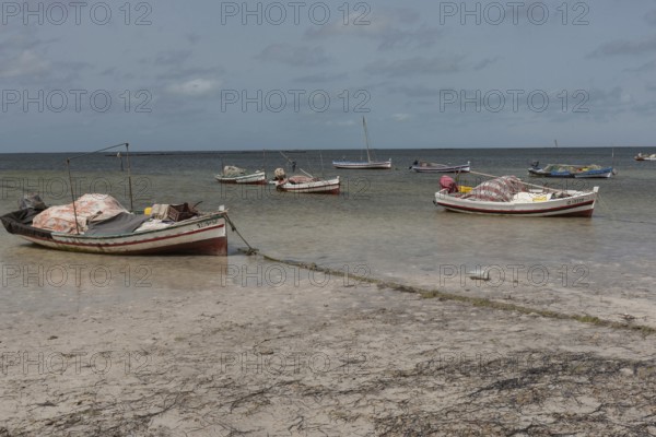 Kerkennah Islands Tunisia. June 4th 2024 Fishing boats moored in the Kerkennah Archipeligo in the Gulf of Gabes in the Mediterranean Sea, Tunisia, North Africa