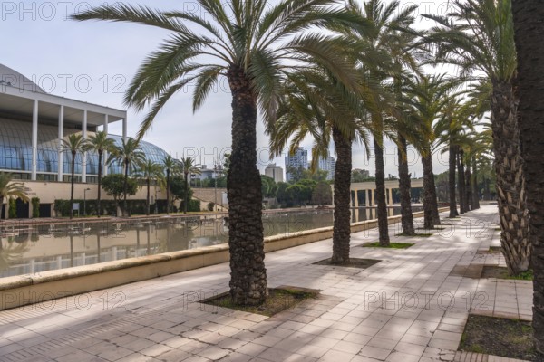 Palau de la musica building and modern architecture reflecting in the water, with a row of tall palm trees lining the pathway in the sunny turia gardens city park