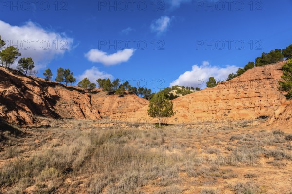 Las arcillas natural park in teruel shows vivid red clay badlands and eroded canyons topped with scattered pine trees under a bright blue sky with white clouds, arid scenic terrain