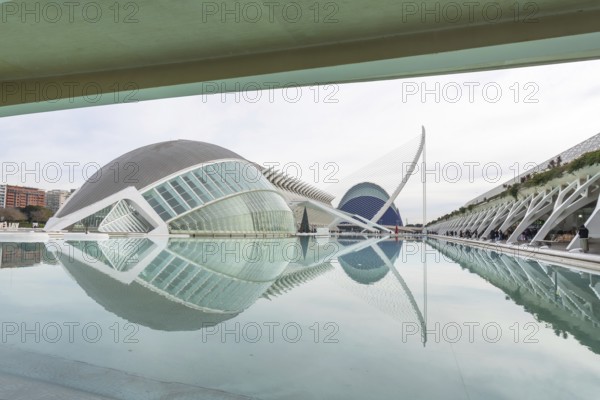 Valencia's contemporary city of arts and sciences buildings reflecting in the clear water, showcasing unique design and urban development under a bright sky