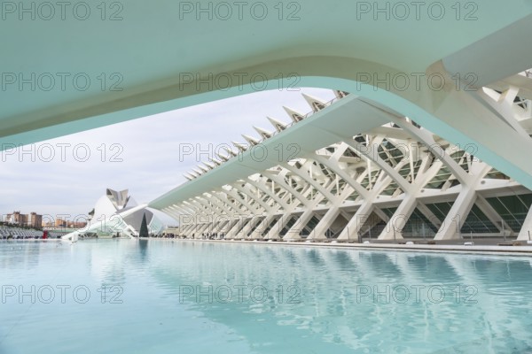 Ciudad de las artes y las ciencias showcases innovative architecture with white structures spanning across the reflecting turquoise pools, creating a stunning contemporary urban landscape