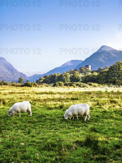 Autumn colors over Llanberis, Llywelyn, North Wales, UK
