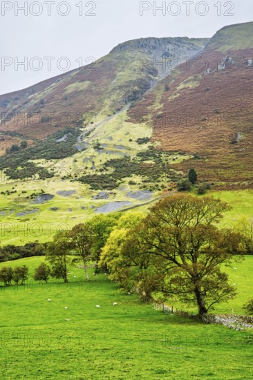 Autumn colors over Farms and Fields, Wales, UK