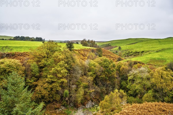 Autumn colors over Ffrwd Fawr Waterfall, Dylife, Llanbrynmair, Powys, Wales, UK