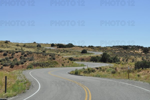 Winding road through a slightly hilly, dry desert landscape under clear skies, Canyonlands National Park, Iceland in the Sky, Utah, USA