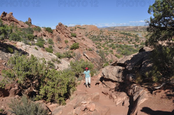 Female hiker in a rocky, dry desert landscape under clear skies, Canyonlands National Park, Island in the Sky, Utah, USA