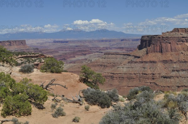 Wide view of red canyons with scattered vegetation, mountain ranges in the background, Canyonlands National Park, Island in the Sky, Utah, USA