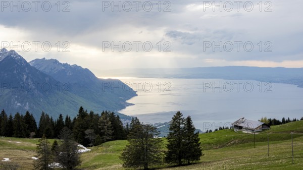 A serene view of Lake Geneva surrounded by rolling alpine hills and trees Sunlight breaks through the clouds, casting golden reflections on the water A tranquil Swiss countryside scene