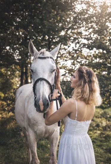 A young woman in a white dress gently caresses a white horse in a sunlit forest. The warm sunlight filters through the trees, creating a peaceful, serene moment