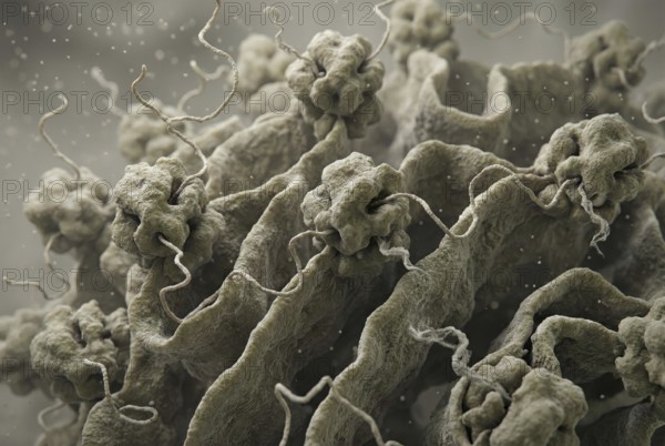 Scientific visualization of mRNA translation by ribosomes inside cells. Presentation of protein synthesis for vaccines and biotechnology, AI generated