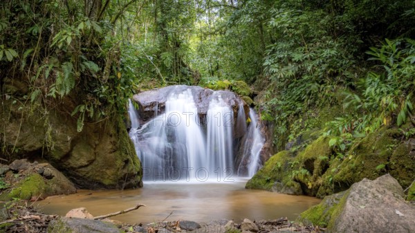 A tranquil waterfall cascades gently over moss-covered rocks surrounded by a dense, verdant forest in San Ramon, Peruvian Amazon