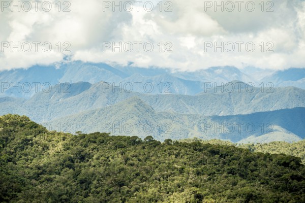 Lush green canopy foregrounds the majestic, blue-hued Andean mountains stretching under a cloudy sky in Oxapampa, Peruvian Amazon