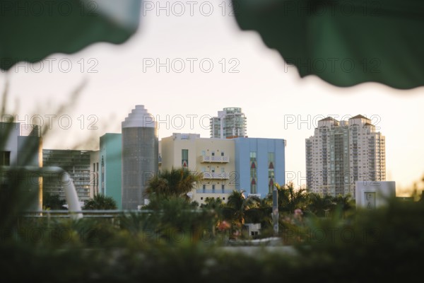 The Miami skyline bathes in the warm glow of sunset, framed by tropical leaves. This serene cityscape captures iconic architecture and the vibrant urban atmosphere of Miami Beach