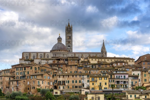 A detailed view of the Siena Cathedral rising above charming historic buildings. The Duomo's intricate design contrasts with the rustic colors of Siena's iconic Italian architecture