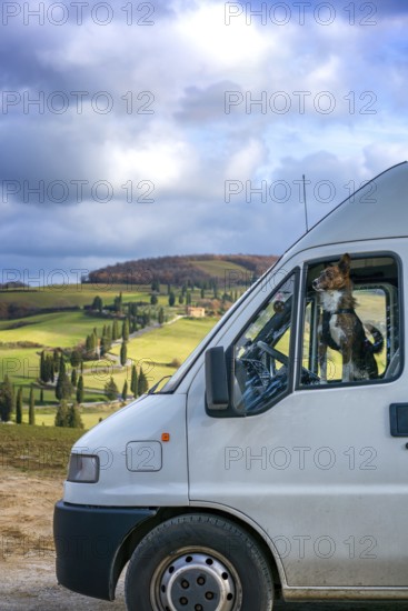 A camper van with a dog peering out the window, parked in the rolling hills of Tuscany, Italy. The landscape features lush greenery, cypress trees, and a serene atmosphere