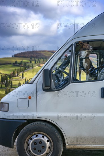 A dog looking out of a camper van window, parked amidst Tuscany's rolling hills. The landscape showcases cypress-lined curvy roads, lush greenery, and a serene rural vibe