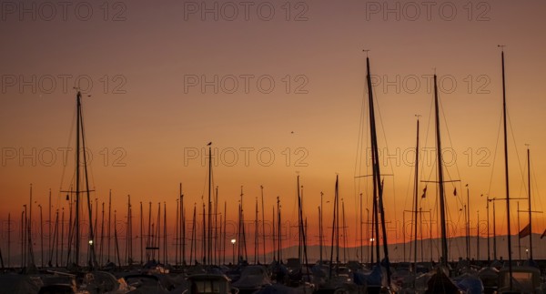 Serene sunset view over Lake Leman featuring multiple sailboat masts silhouetted against a vivid orange sky, captured in Lausanne