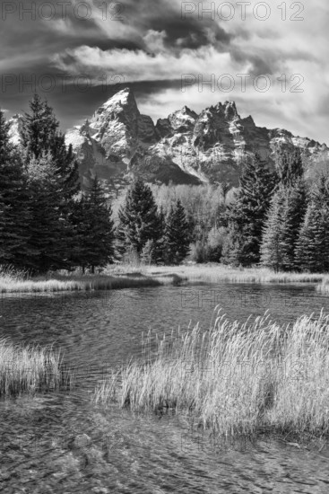 Dramatic black and white photograph capturing the rugged beauty of Grand Teton National Park, featuring imposing mountains, dense forests, and a serene, reflective river fringed by wild grasses
