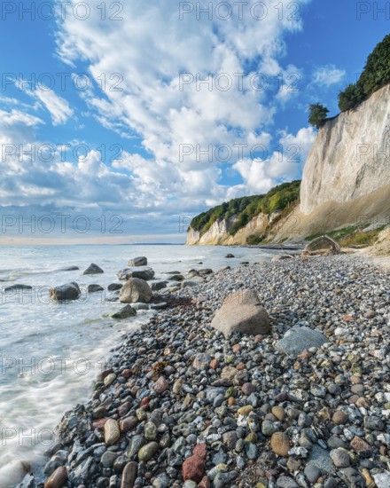 Chalk cliffs and rocky beach with boulders on the Baltic Sea under blue sky with cumulus clouds, Jasmund National Park, Rügen Island, Mecklenburg-Western Pomerania, Germany