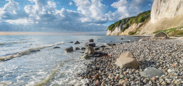 Chalk cliffs and rocky beach with boulders on the Baltic Sea under blue sky with cumulus clouds, Jasmund National Park, Rügen Island, Mecklenburg-Western Pomerania, Germany
