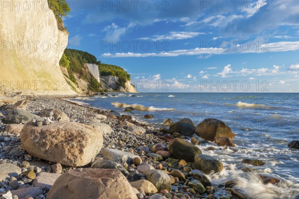 Chalk cliffs and rocky beach with boulders on the Baltic Sea under blue sky with cumulus clouds, Jasmund National Park, Rügen Island, Mecklenburg-Western Pomerania, Germany