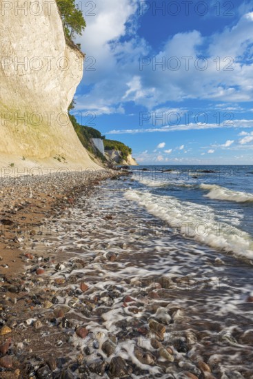 Chalk cliffs and rocky beach with boulders and tree trunks on the Baltic Sea under blue sky with cumulus clouds, Jasmund National Park, Rügen Island, Mecklenburg-Western Pomerania, Germany