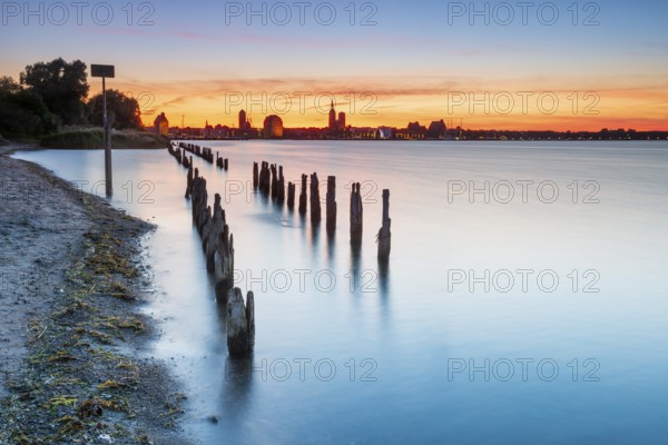 View at sunset over the Strelasund of the illuminated silhouette of the city of Stralsund with its churches and warehouses in the harbor, in front of old groves, Stralsund, Mecklenburg-Western Pomerania, Germany