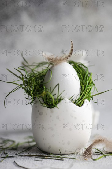 Elegant and simple Easter egg adorned with fresh green grass and delicate feathers, showcased on a textured gray background, evoking a springtime ambiance
