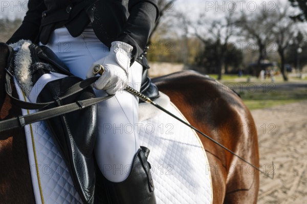 Cropped unrecognizable person engaged in classical dressage training, focusing on technique and posture while mounted on a horse, showcasing the riding attire, including a fitted jacket and white gloves, along with detailed equestrian equipment