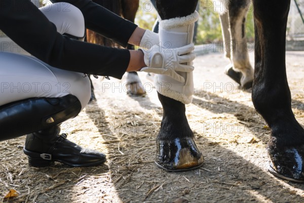 Cropped view of unrecognizable teenager in riding attire fitting protective boots on a horse's legs, set against a natural, outdoor backdrop, emphasizing care and preparation for classical dressage