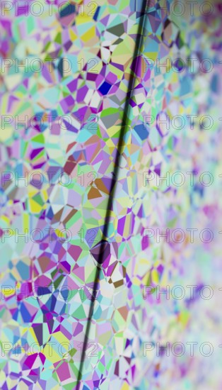 This image features a visually striking 3D rendered illustration of colorful, multifaceted geometric shapes, presenting a seamless flow between varied color tones and patterns