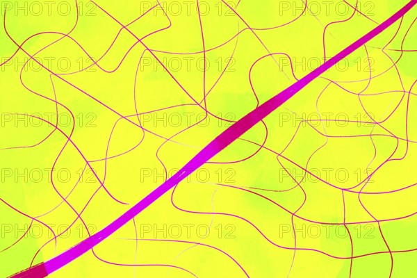 This abstract illustration features vibrant yellow and pink hues with dynamic, intersecting lines The bright, energetic design evokes a sense of movement and creativity