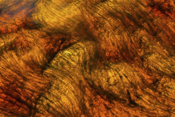 Vibrant abstract patterns created by mineral-rich waters of the Riotinto River in Huelva, Spain The swirling reds and yellows depict the unique natural beauty