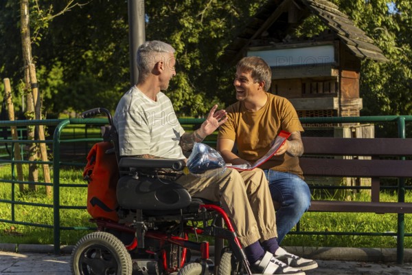 Two friends sit together on a park bench, one in a wheelchair by cerebral palsy and the other holding a notebook They are engaged in a lively conversation, surrounded by greenery on a sunny day